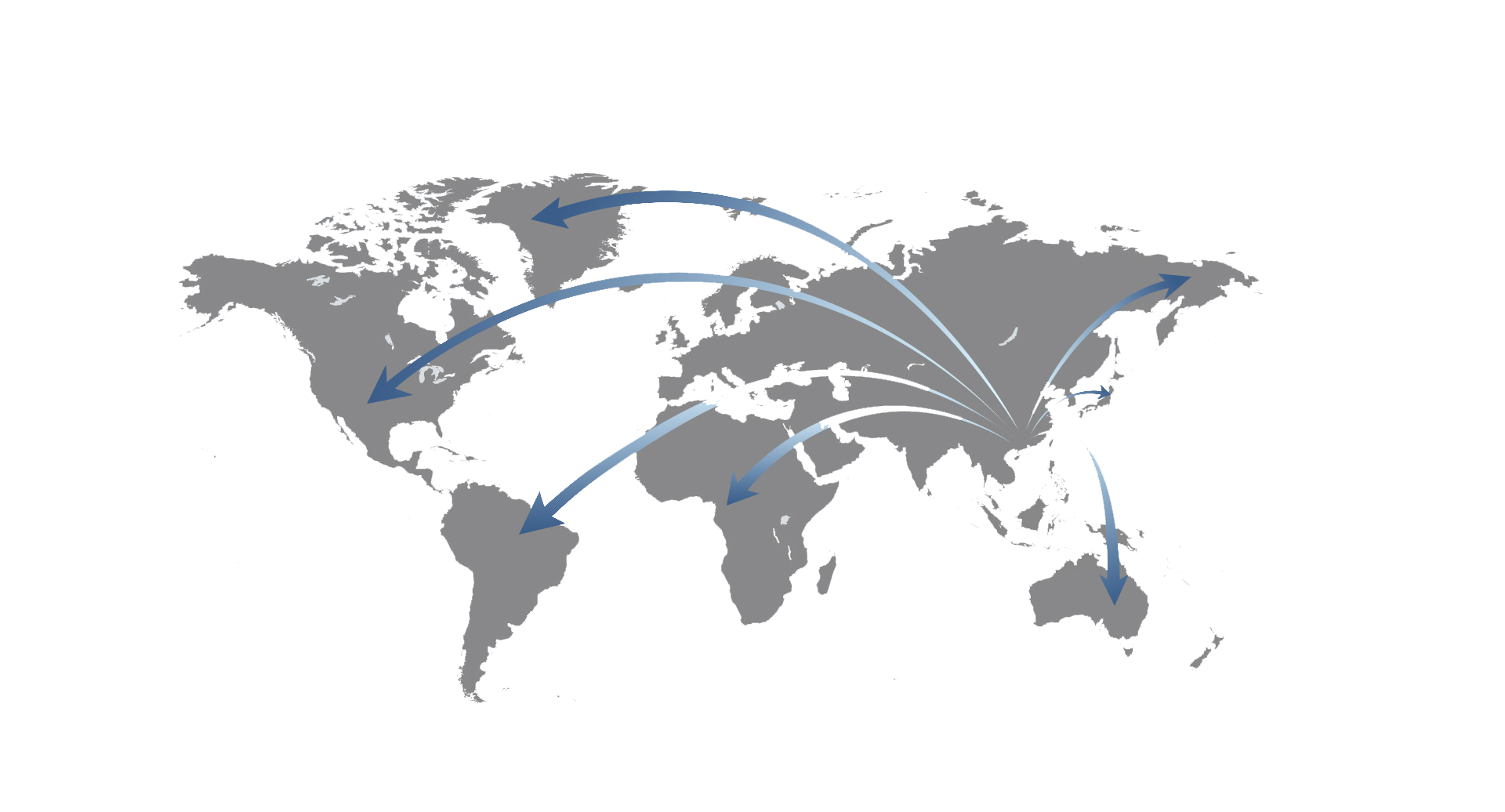 Globalnetwork & Service Globalnetwork & Service